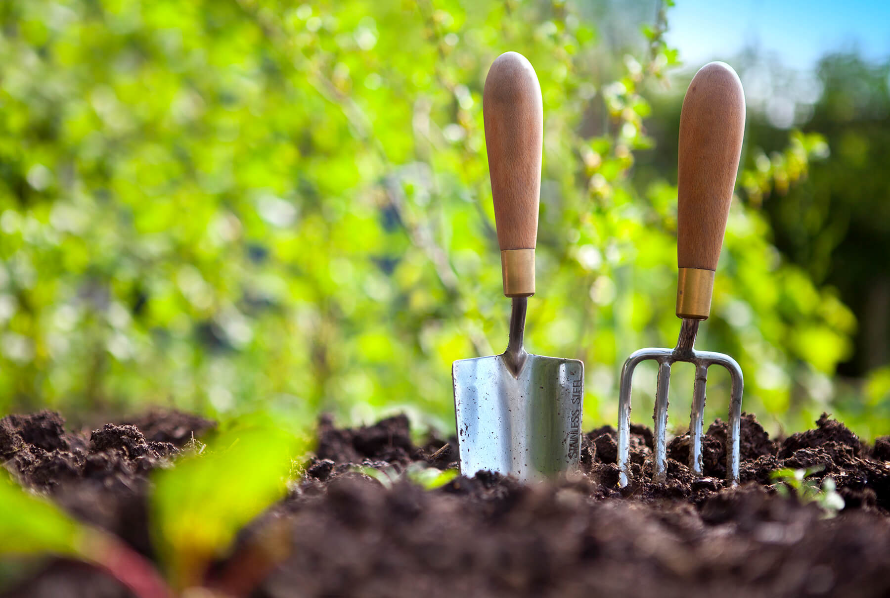 gardening tools in dirt